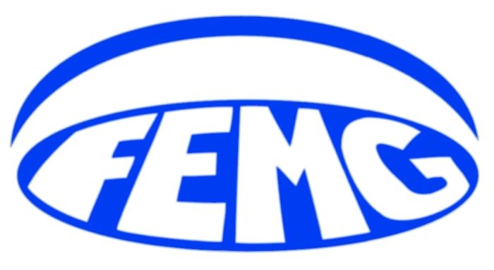 Flat Earth Media Group FEMGp